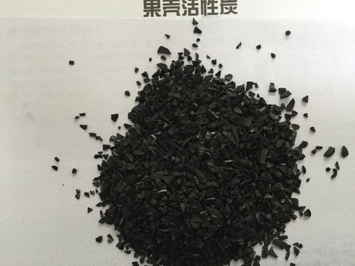 珠?；钚蕴恐憋嫏C(jī)廠家