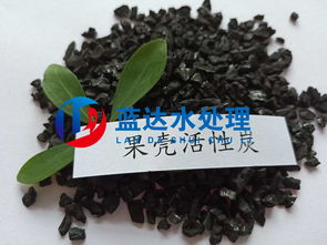 臭氧活性炭在工業(yè)廢水處理工程應(yīng)用中存在的安全性問題